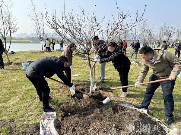 种下这棵树，从此扎根光谷、向上生长！38名高层次人才种下“人才林”