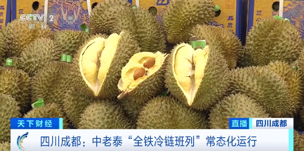 价格大降超三成! 2万吨榴莲，来了