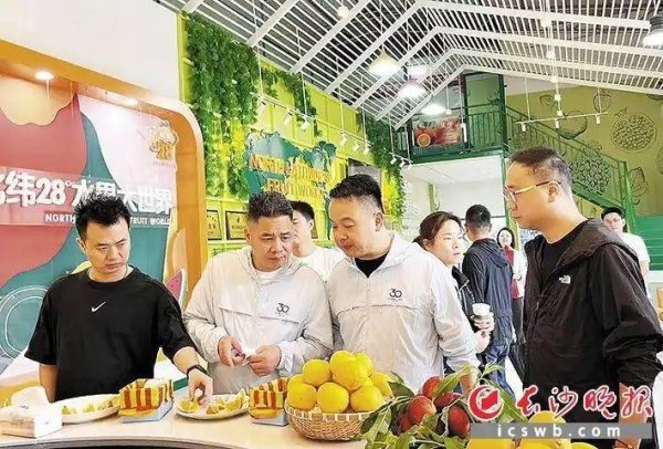 望城铜官北纬28度水果大世界将千亩果园打造成实景教学大课堂