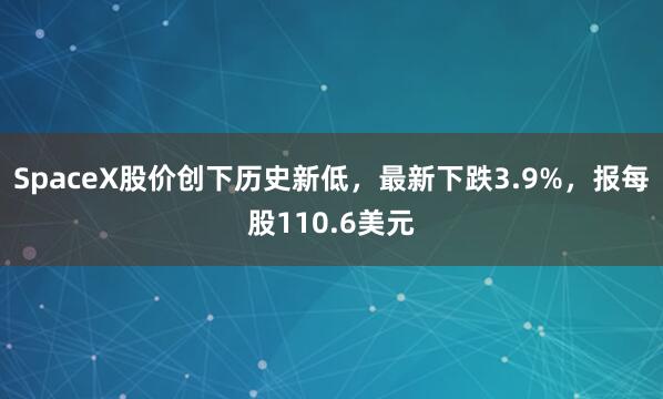 SpaceX股价创下历史新低，最新下跌3.9%，报每股110.6美元