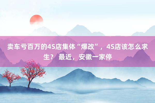 卖车亏百万的4S店集体“爆改”，4S店该怎么求生？ 最近，安徽一家停