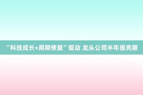 “科技成长+周期修复”驱动 龙头公司半年报亮眼