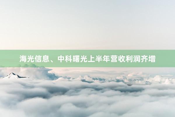 海光信息、中科曙光上半年营收利润齐增