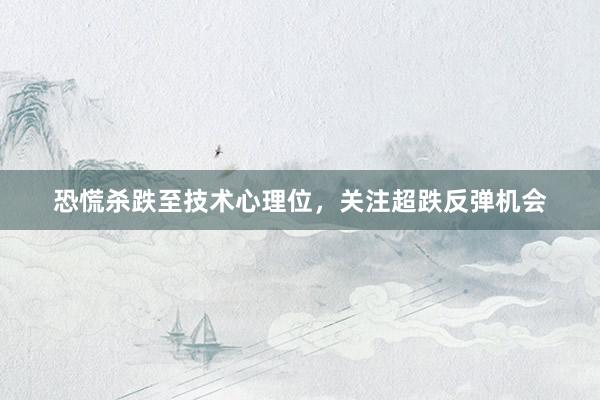 恐慌杀跌至技术心理位，关注超跌反弹机会