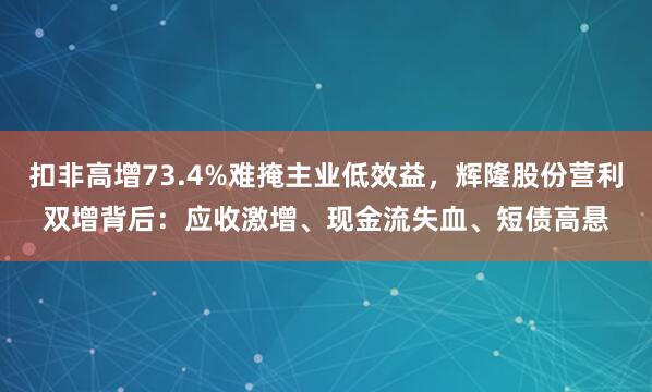 扣非高增73.4%难掩主业低效益，辉隆股份营利双增背后：应收激增、现金流失血、短债高悬