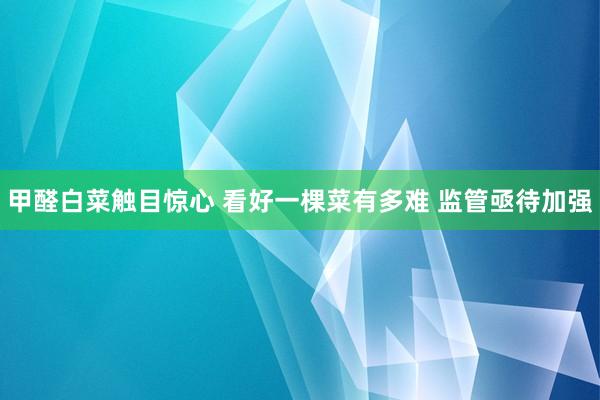 甲醛白菜触目惊心 看好一棵菜有多难 监管亟待加强