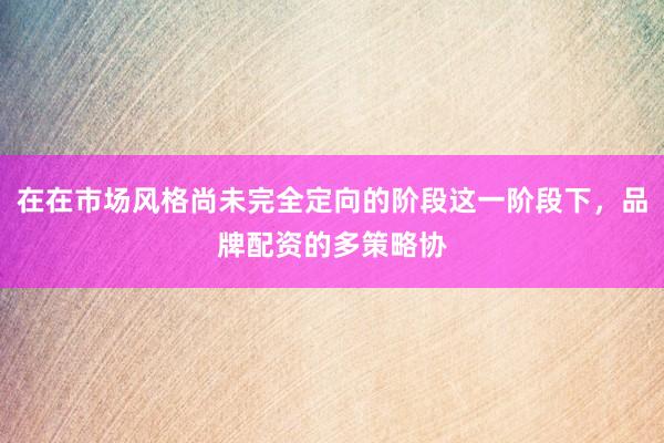 在在市场风格尚未完全定向的阶段这一阶段下，品牌配资的多策略协