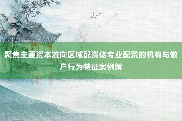 聚焦主要资本流向区域配资佬专业配资的机构与散户行为特征案例解