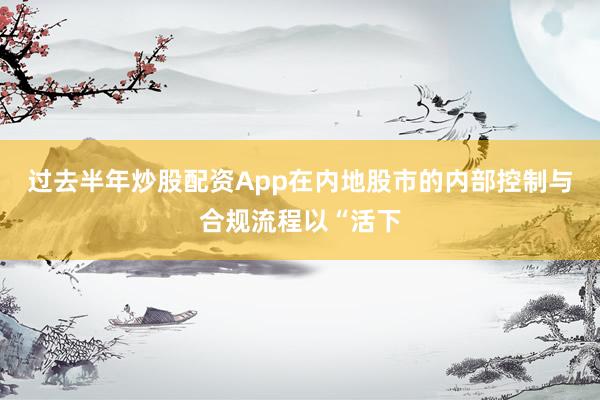 过去半年炒股配资App在内地股市的内部控制与合规流程以“活下