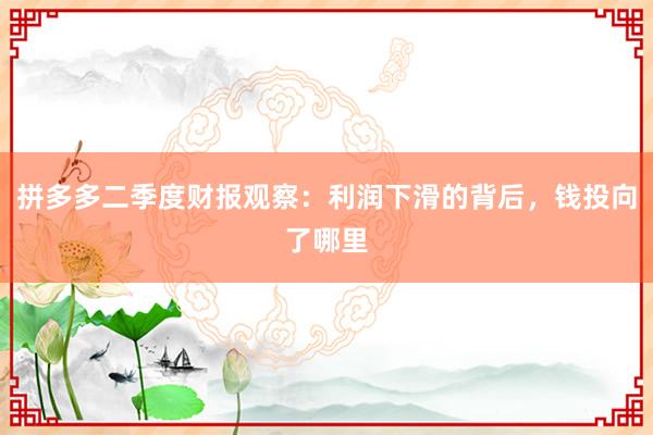 拼多多二季度财报观察：利润下滑的背后，钱投向了哪里