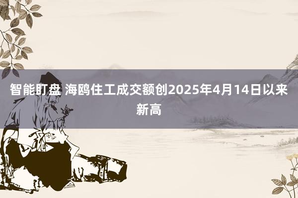 智能盯盘 海鸥住工成交额创2025年4月14日以来新高